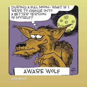 Hi, I Am Trying To Sell A Few Things I Have.